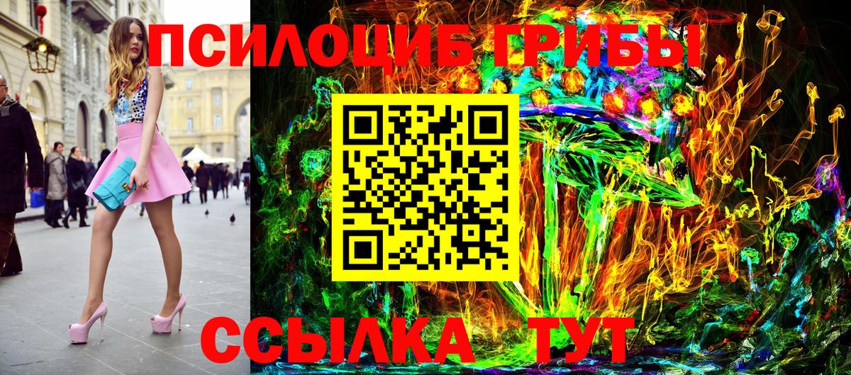 Псилоцибиновые грибы Psilocybe Южно-Сахалинск